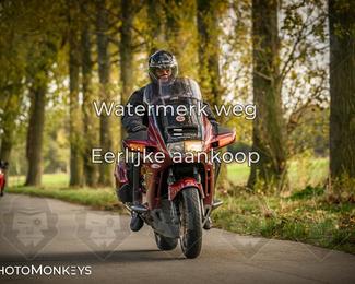 Herfstrit Moerzeke photo