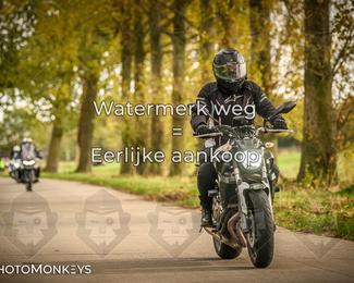 Herfstrit Moerzeke photo