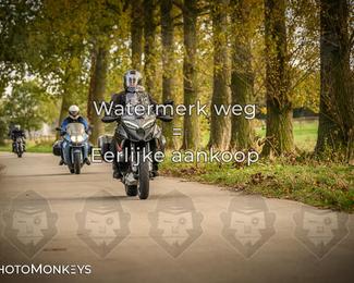 Herfstrit Moerzeke photo