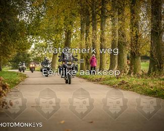 Herfstrit Moerzeke photo