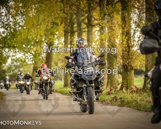 Herfstrit Moerzeke photo