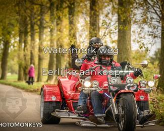 Herfstrit Moerzeke photo