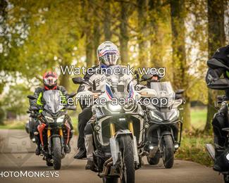 Herfstrit Moerzeke photo