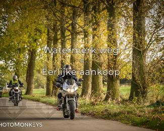 Herfstrit Moerzeke photo