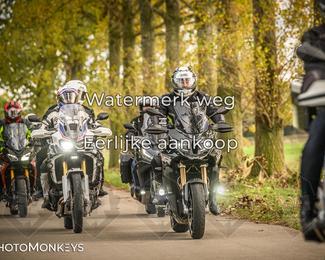 Herfstrit Moerzeke photo