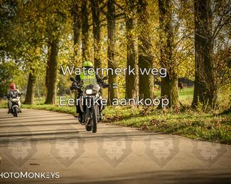 Herfstrit Moerzeke photo