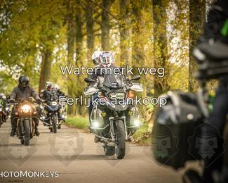 Herfstrit Moerzeke photo