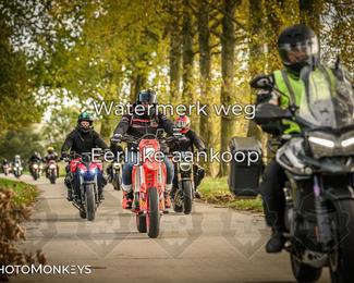 Herfstrit Moerzeke photo