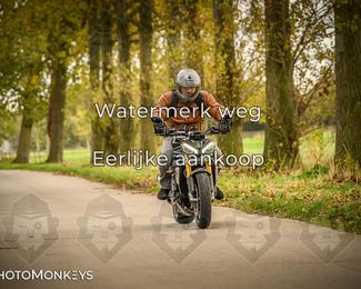 Herfstrit Moerzeke photo