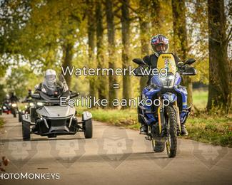 Herfstrit Moerzeke photo