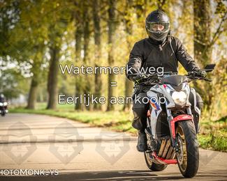 Herfstrit Moerzeke photo