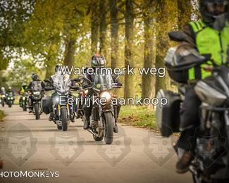 Herfstrit Moerzeke photo