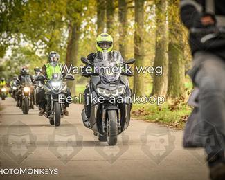 Herfstrit Moerzeke photo