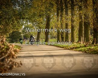 Herfstrit Moerzeke photo