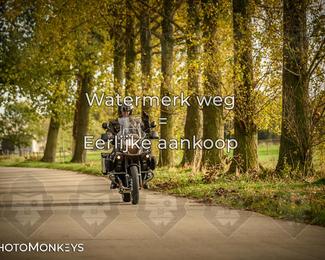 Herfstrit Moerzeke photo