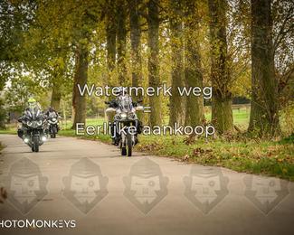 Herfstrit Moerzeke photo