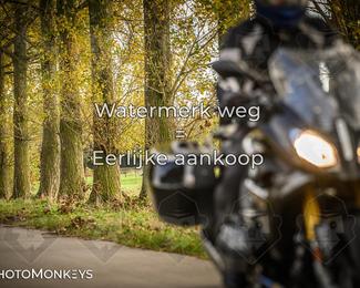 Herfstrit Moerzeke photo