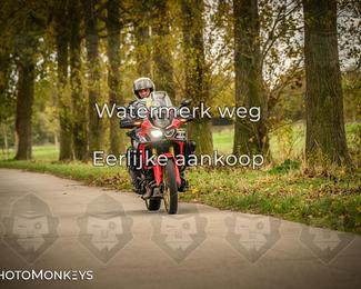 Herfstrit Moerzeke photo