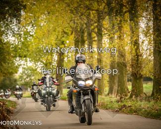 Herfstrit Moerzeke photo