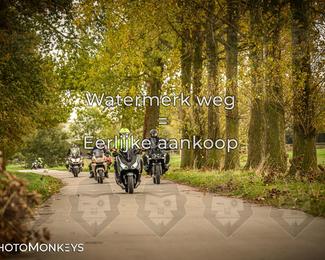 Herfstrit Moerzeke photo