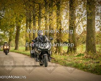 Herfstrit Moerzeke photo