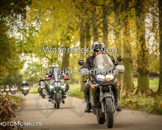 Herfstrit Moerzeke photo