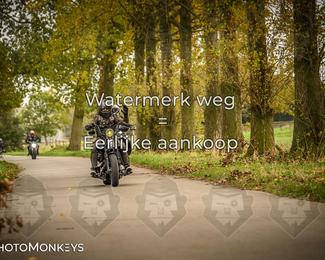 Herfstrit Moerzeke photo