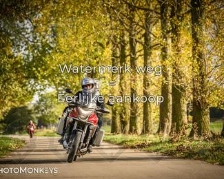 Herfstrit Moerzeke photo