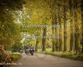 Herfstrit Moerzeke photo