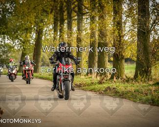 Herfstrit Moerzeke photo