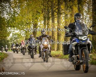 Herfstrit Moerzeke photo