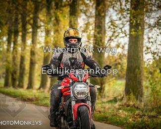 Herfstrit Moerzeke photo