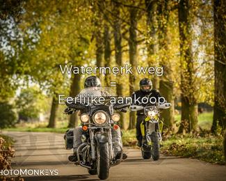 Herfstrit Moerzeke photo