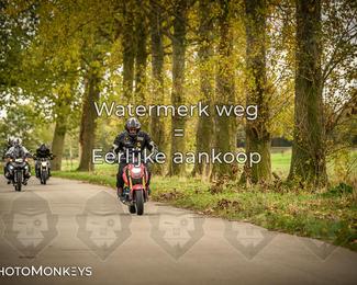 Herfstrit Moerzeke photo