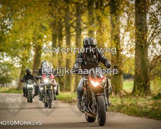 Herfstrit Moerzeke photo