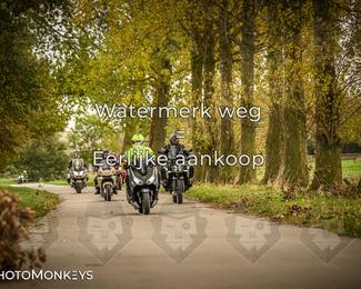 Herfstrit Moerzeke photo