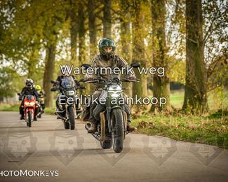 Herfstrit Moerzeke photo