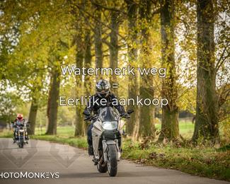 Herfstrit Moerzeke photo