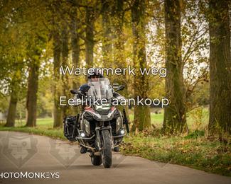 Herfstrit Moerzeke photo