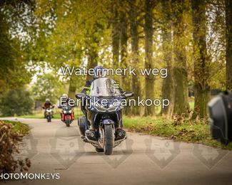 Herfstrit Moerzeke photo