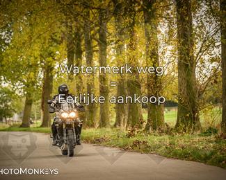 Herfstrit Moerzeke photo