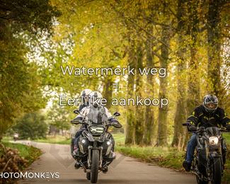 Herfstrit Moerzeke photo