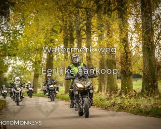 Herfstrit Moerzeke photo