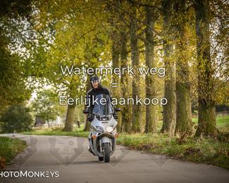 Herfstrit Moerzeke photo