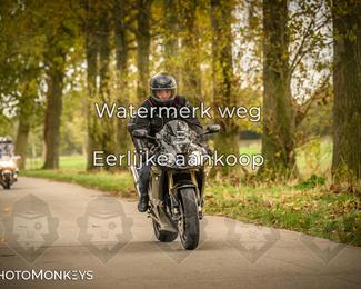 Herfstrit Moerzeke photo