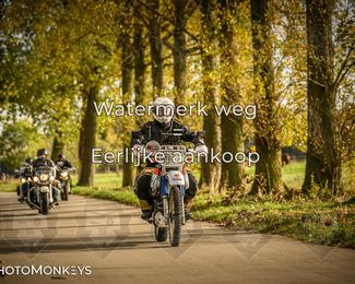 Herfstrit Moerzeke photo