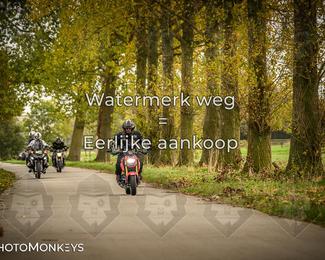 Herfstrit Moerzeke photo