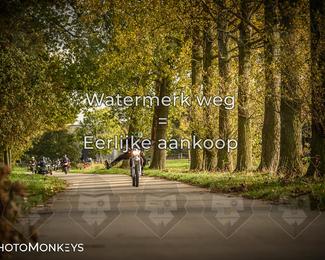 Herfstrit Moerzeke photo