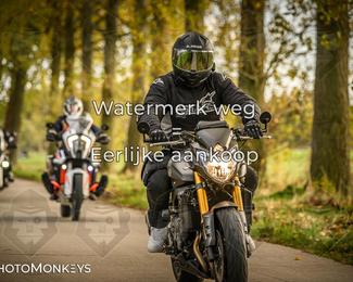 Herfstrit Moerzeke photo