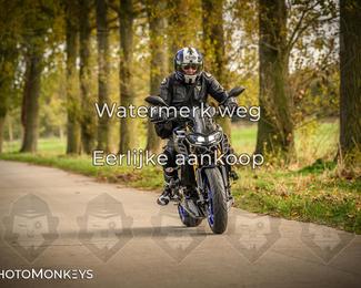 Herfstrit Moerzeke photo